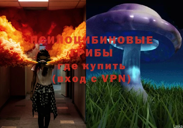2c-b Ладушкин