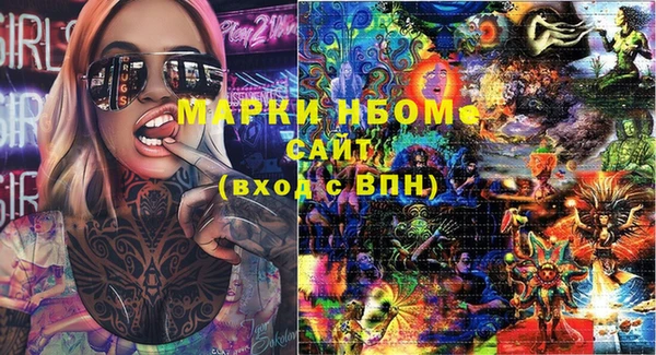 стаф Ессентукская