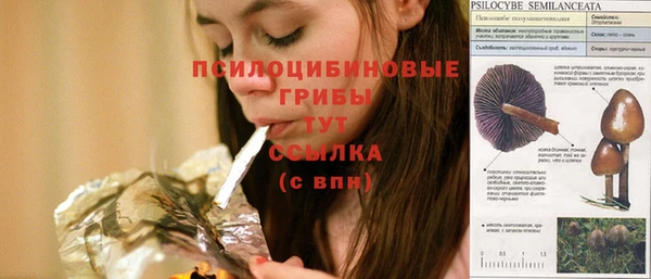 2c-b Ладушкин